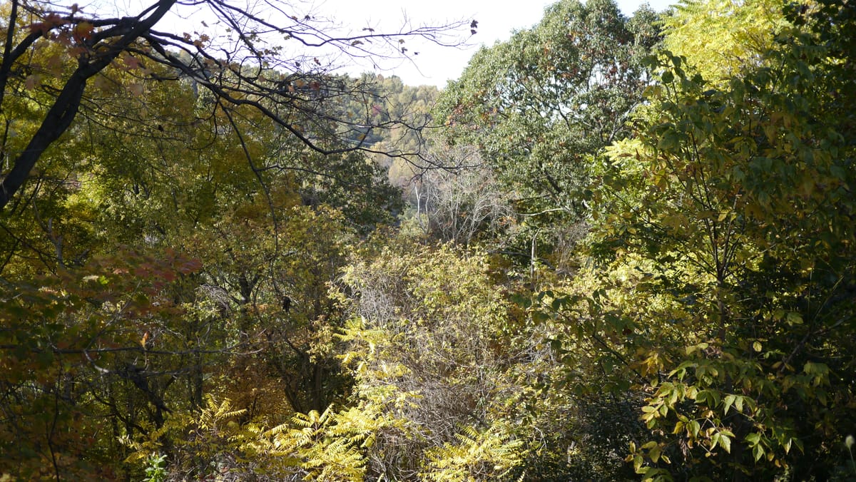 Letting Go and Moving On