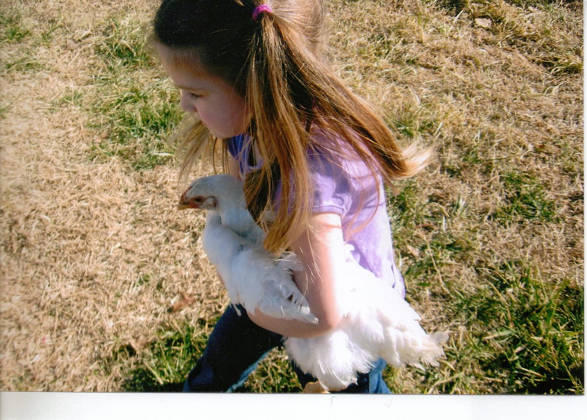 A Matter of Perspective