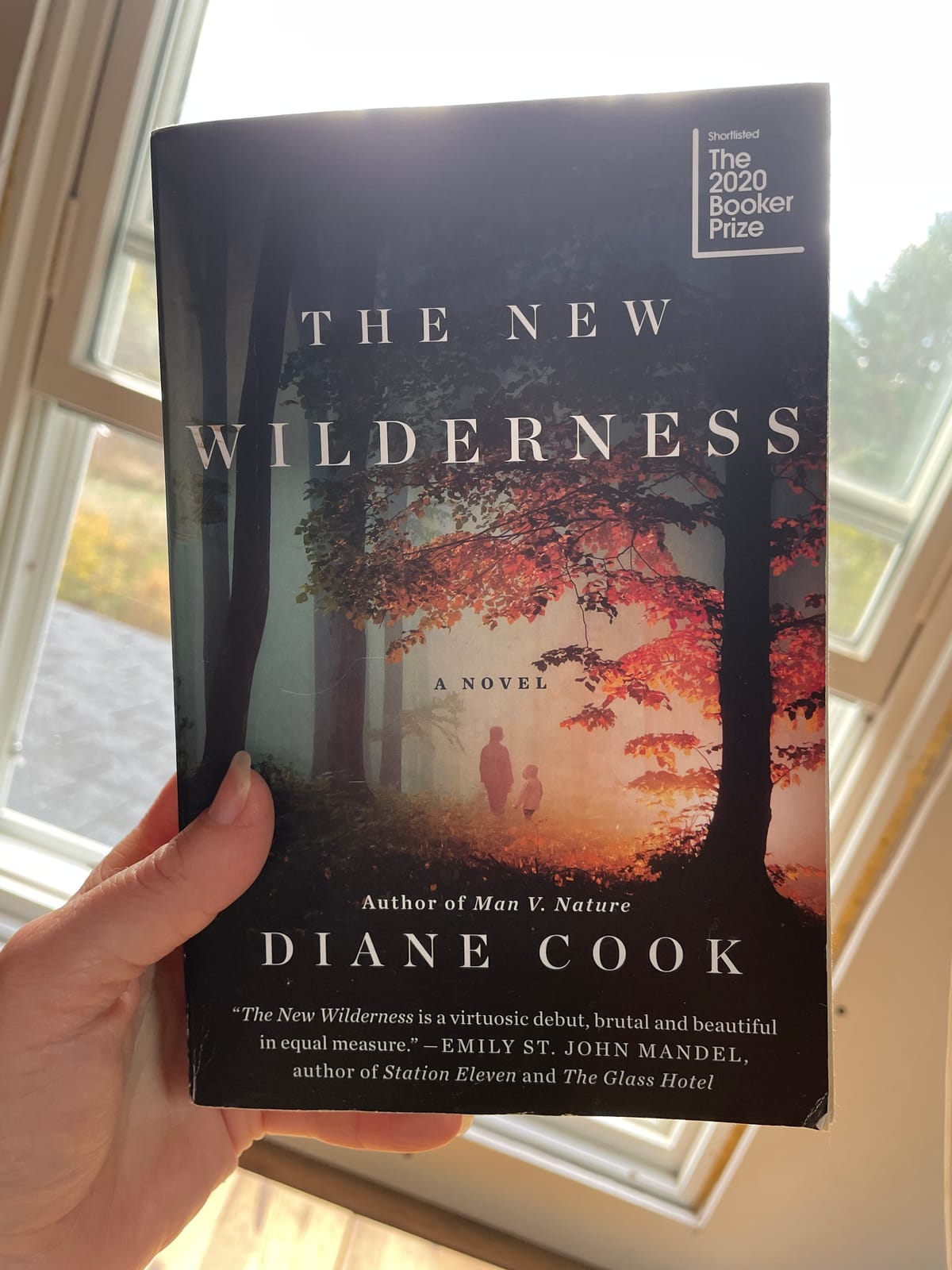 The New Wilderness - A Review