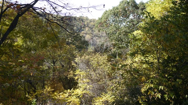 Letting Go and Moving On