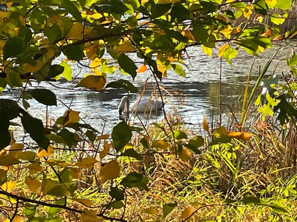 The Changing of the Seasons