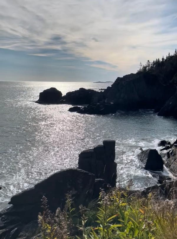 Fragility & Resilience